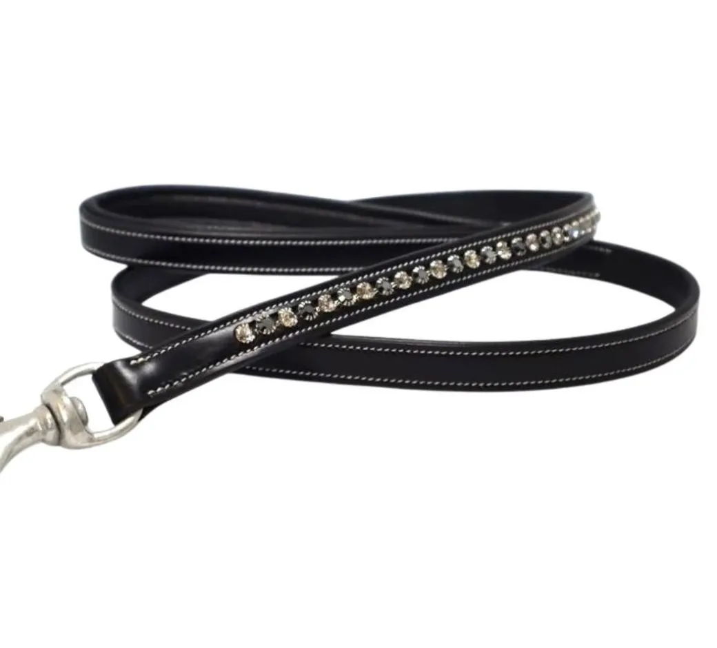 KL Select Impulsion Dog Leash