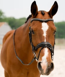 KL Select Impulsion Snaffle Bridle