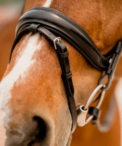 KL Select Impulsion Snaffle Bridle