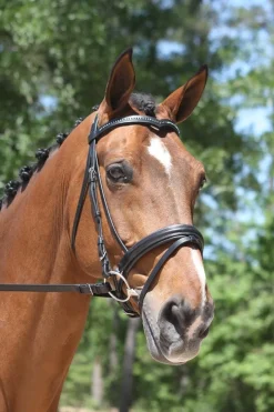 KL Select Italia Pirouette Snaffle Bridle