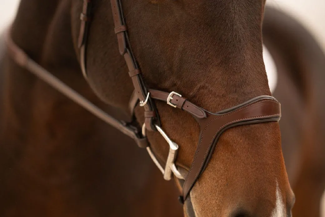 KL Select Tucson Bridle