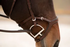 KL Select Tucson Bridle
