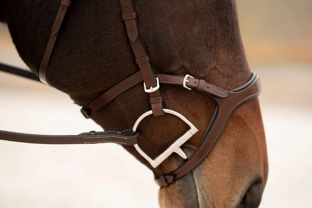 KL Select Tucson Bridle