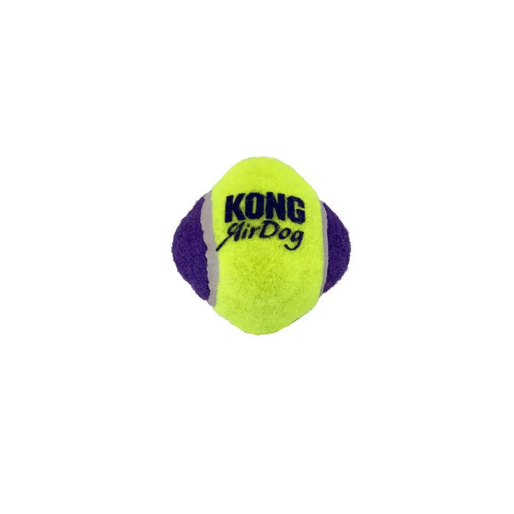 Kong AirDog Squeaker Knobby Ball