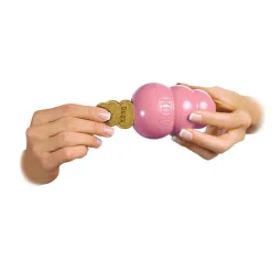 Kong Snacks for Dogs