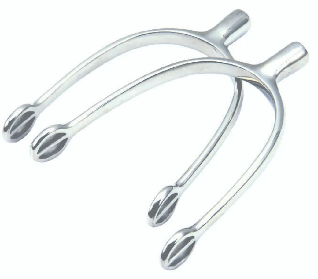 Korsteel Prince of Wales Spurs