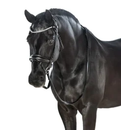 Lara Tweedie AntiGravity Snaffle Bridle