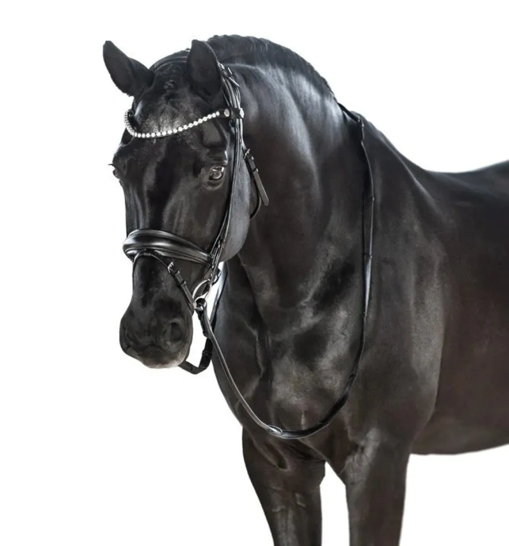 Lara Tweedie AntiGravity Snaffle Bridle