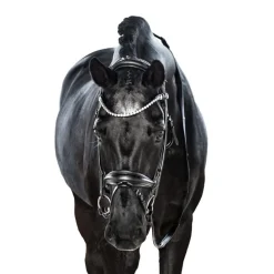 Lara Tweedie AntiGravity Snaffle Bridle