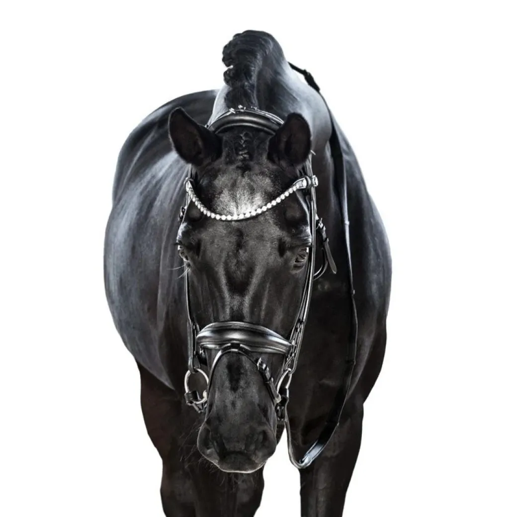 Lara Tweedie AntiGravity Snaffle Bridle