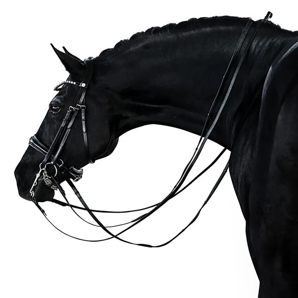 Lara Tweedie Essential Double Bridle