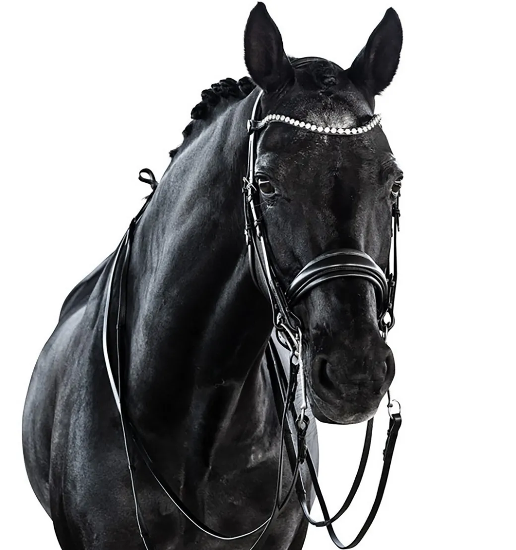 Lara Tweedie Essential Double Bridle