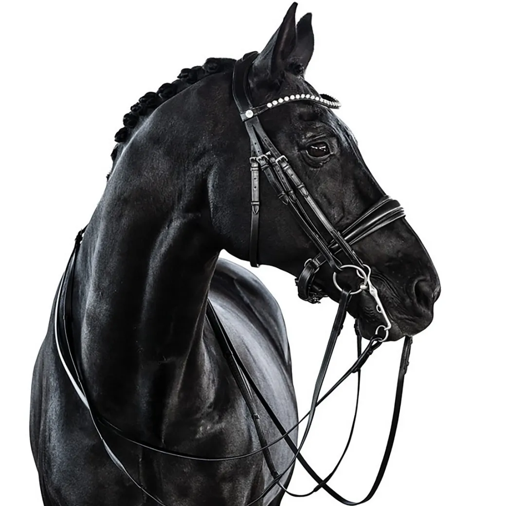 Lara Tweedie Essential Double Bridle