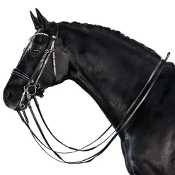 Lara Tweedie Essential Double Bridle