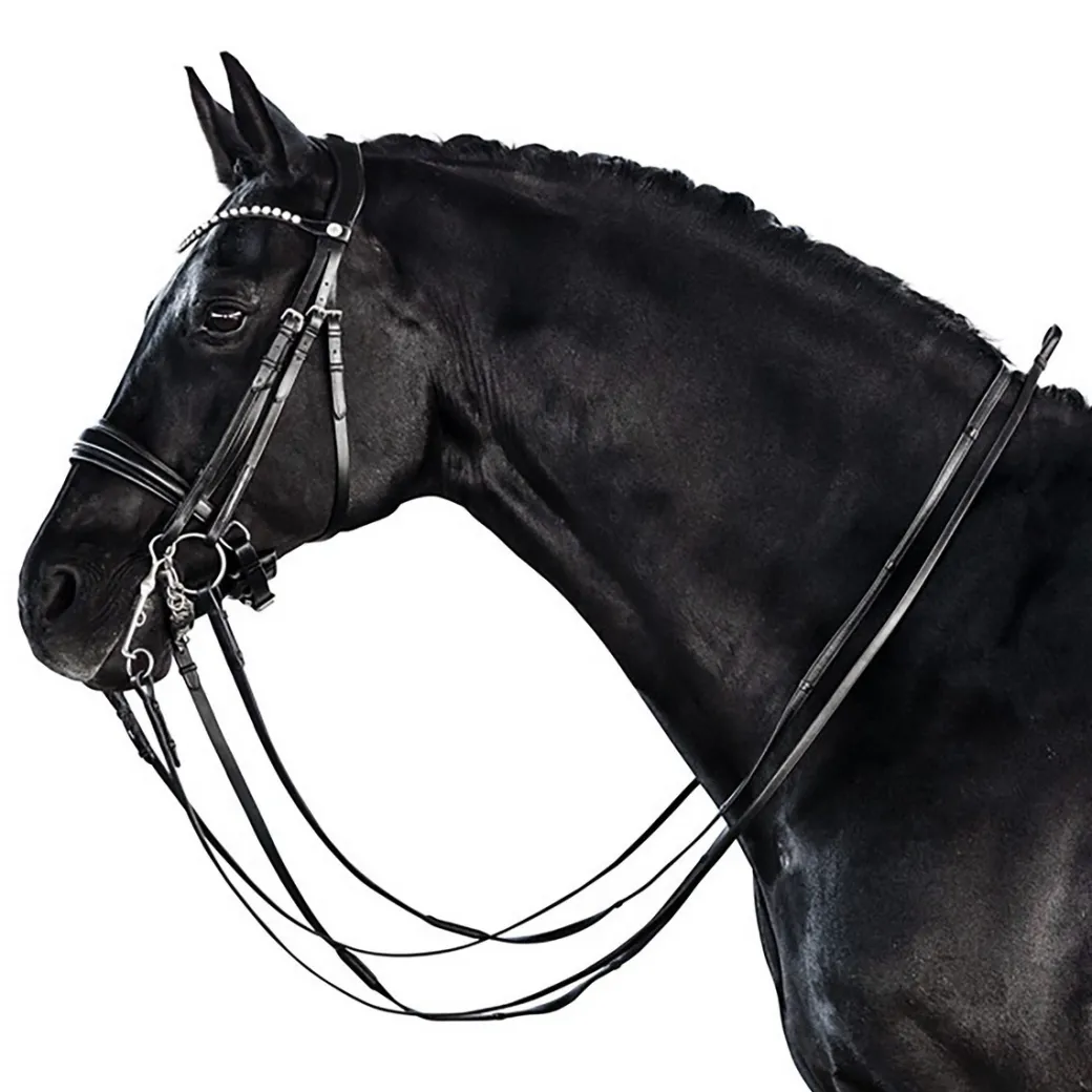 Lara Tweedie Essential Double Bridle
