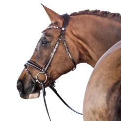 Lara Tweedie Essential Snaffle Bridle