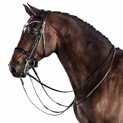 Lara Tweedie Patent Essential Double Bridle