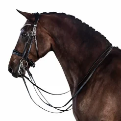 Lara Tweedie Patent Essential Double Bridle