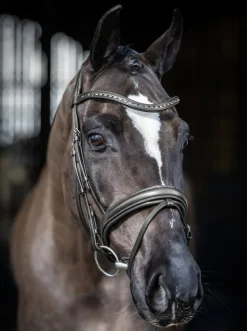 LeMieux Arika Dressage Snaffle Bridle