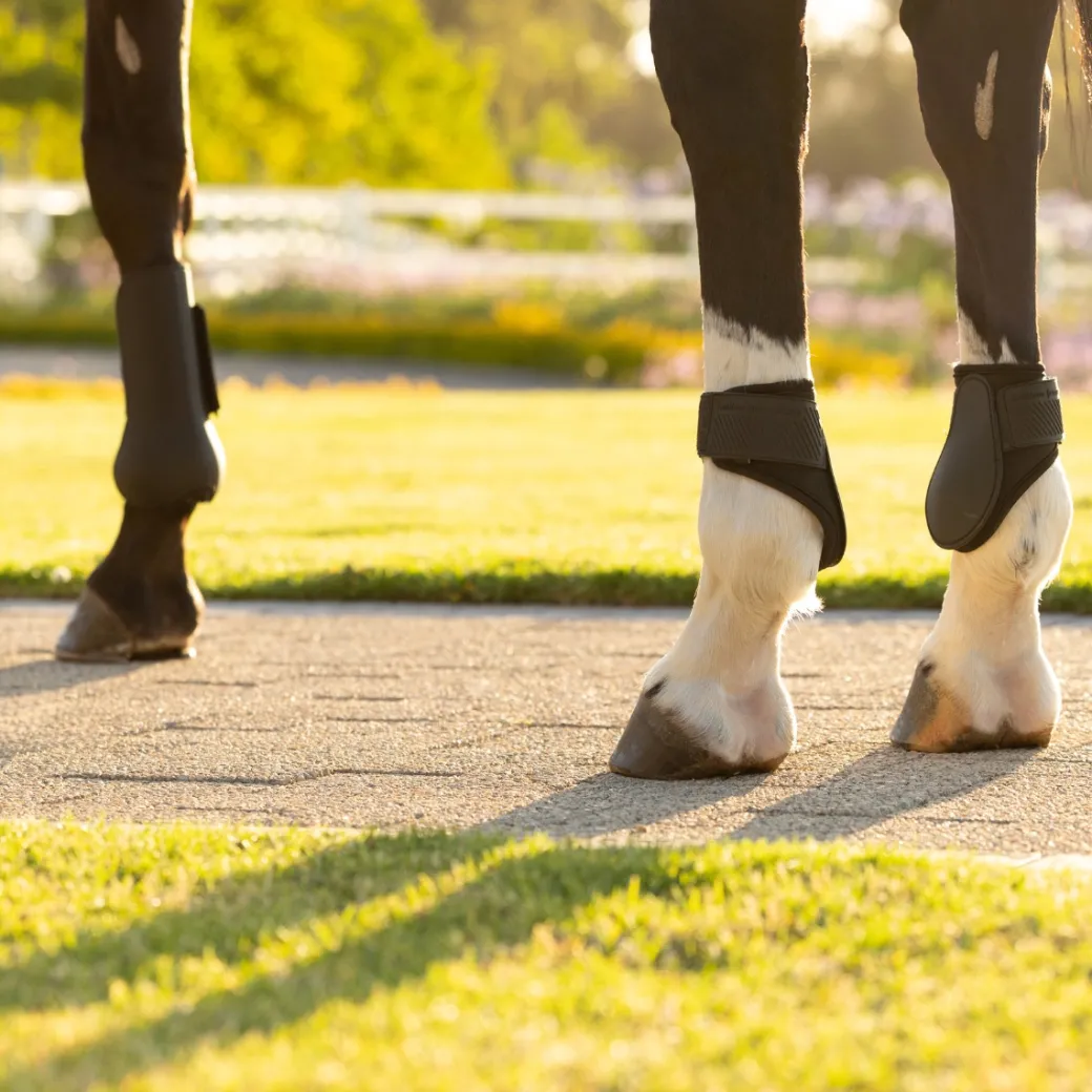 LeMieux Arika Fetlock Boots