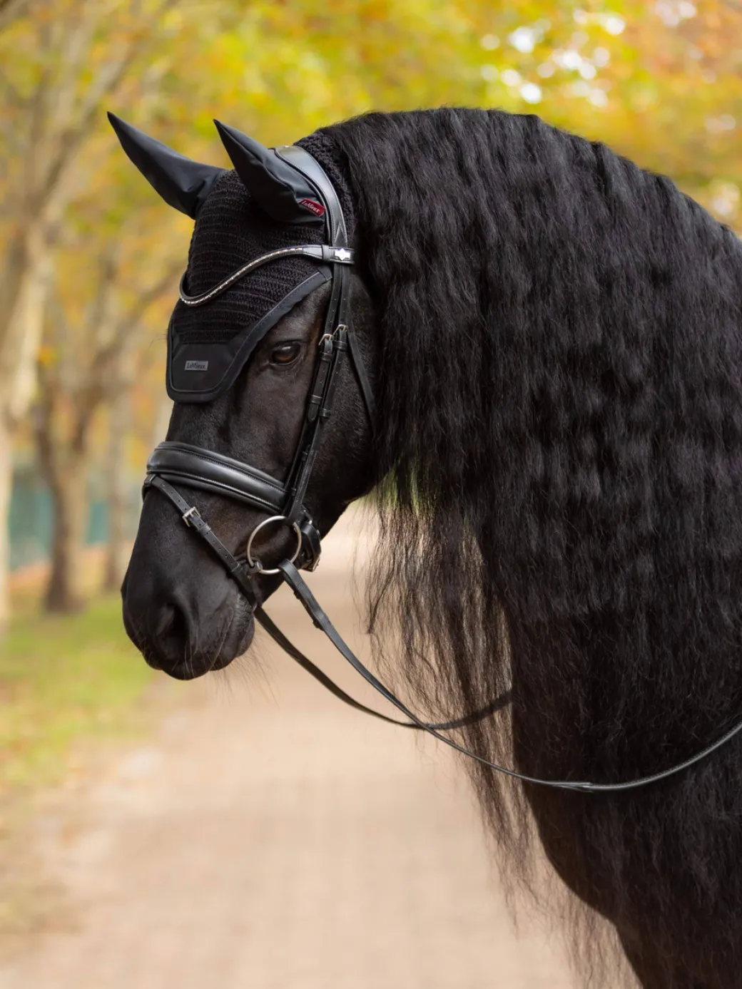 LeMieux Essence Ear Bonnet AW25