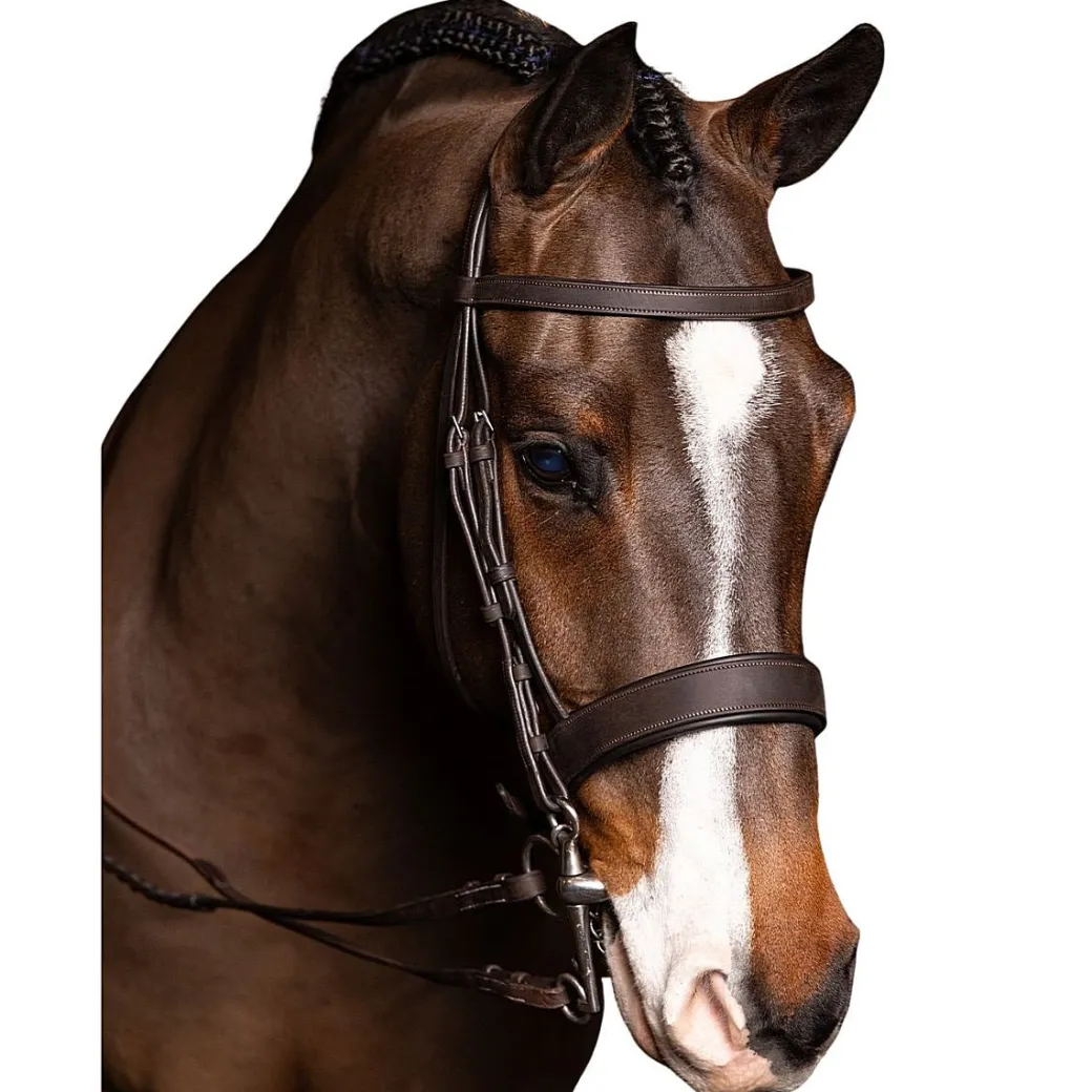 LeMieux Flat Hunter Bridle