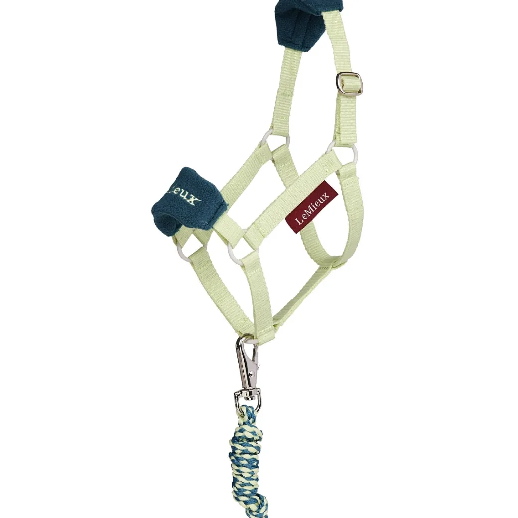 LeMieux Hobby Horse Vogue Halter SS26
