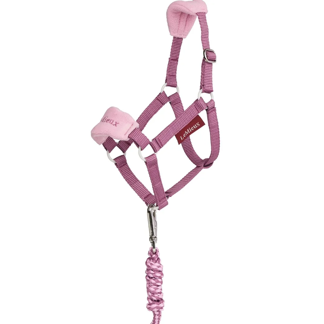 LeMieux Hobby Horse Vogue Halter SS26