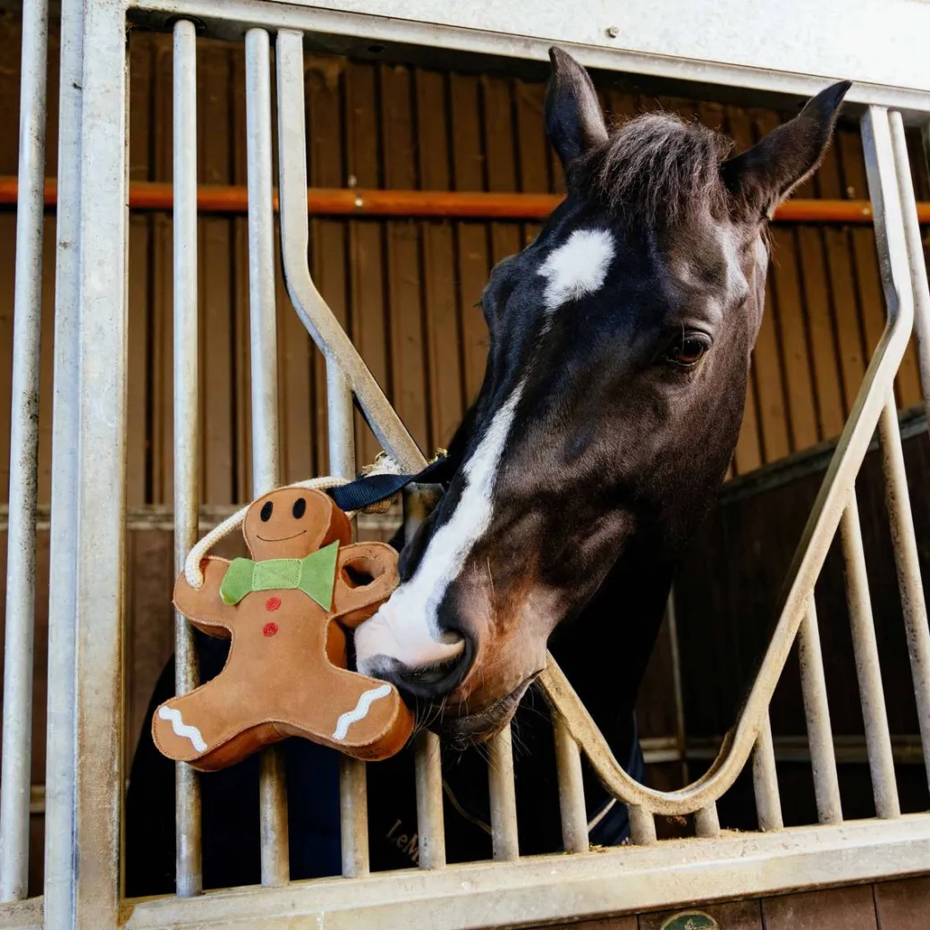 LeMieux Holiday Horse Toys