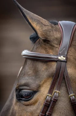 LeMieux Kudos Competition Bridle