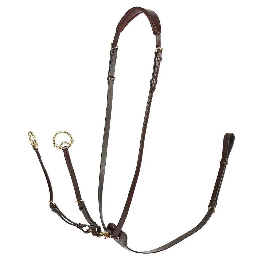 LeMieux Kudos Running Martingale