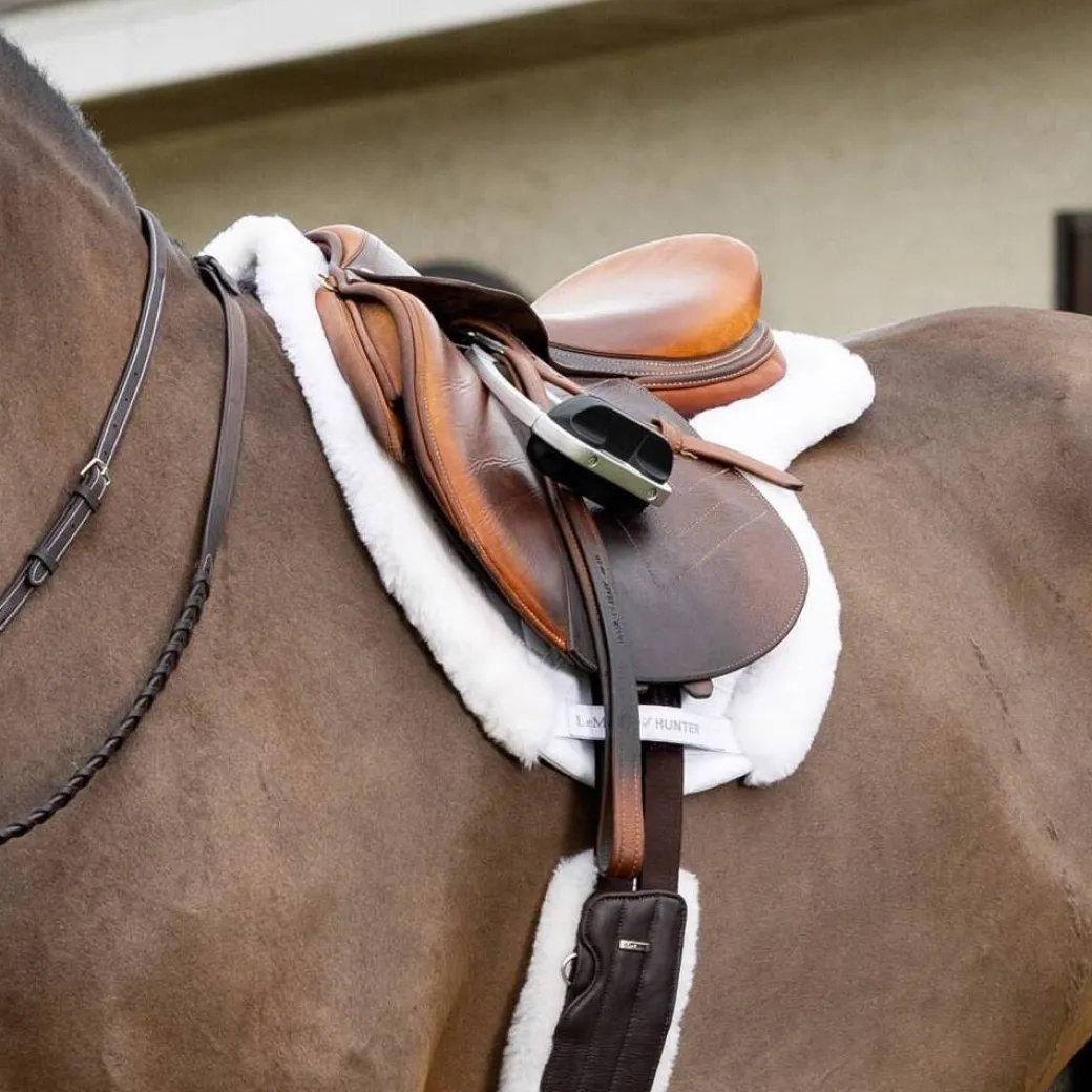 LeMieux Merino+ Hunter Saddle Pad