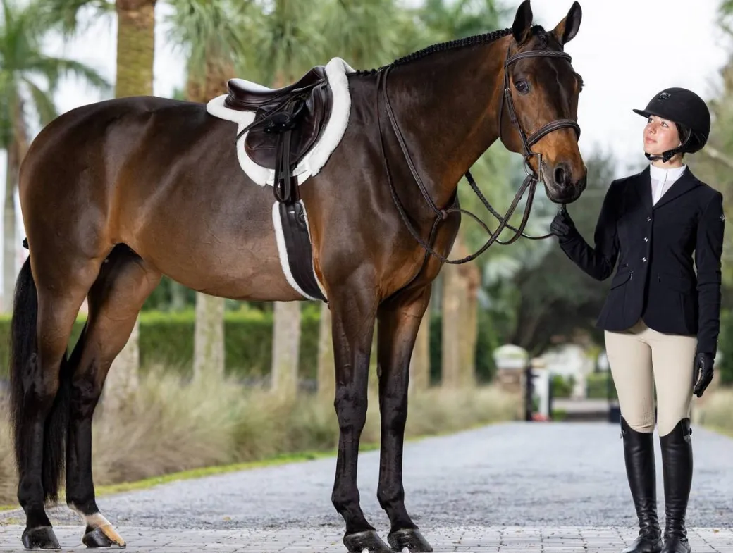 LeMieux Merino+ ProSorb Hunter Saddle Pad