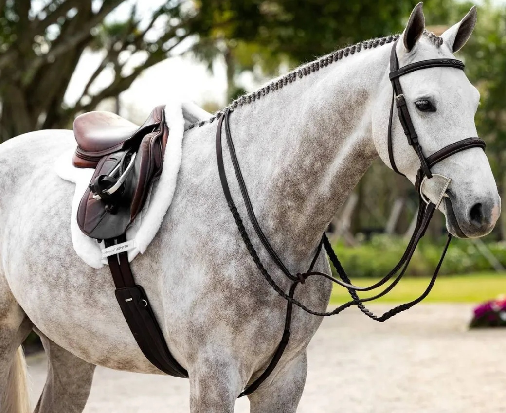 LeMieux Merino+ ProSorb Hunter Saddle Pad