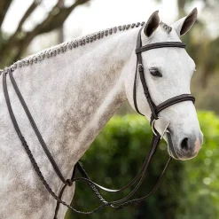 LeMieux Stitched Hunter Bridle with Reins