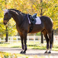 LeMieux Suede Dressage Square Pad AW25