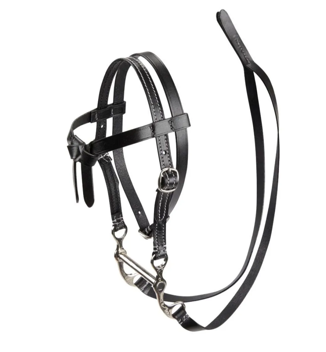 LeMieux Toy Pony Western Bridle