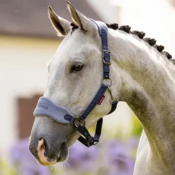 LeMieux Vogue Halter and Lead Rope