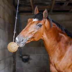 Likit Granola Stall Ball