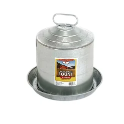 Little Giant Double Wall Galvanized Poultry Fount