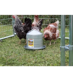 Little Giant Double Wall Galvanized Poultry Fount