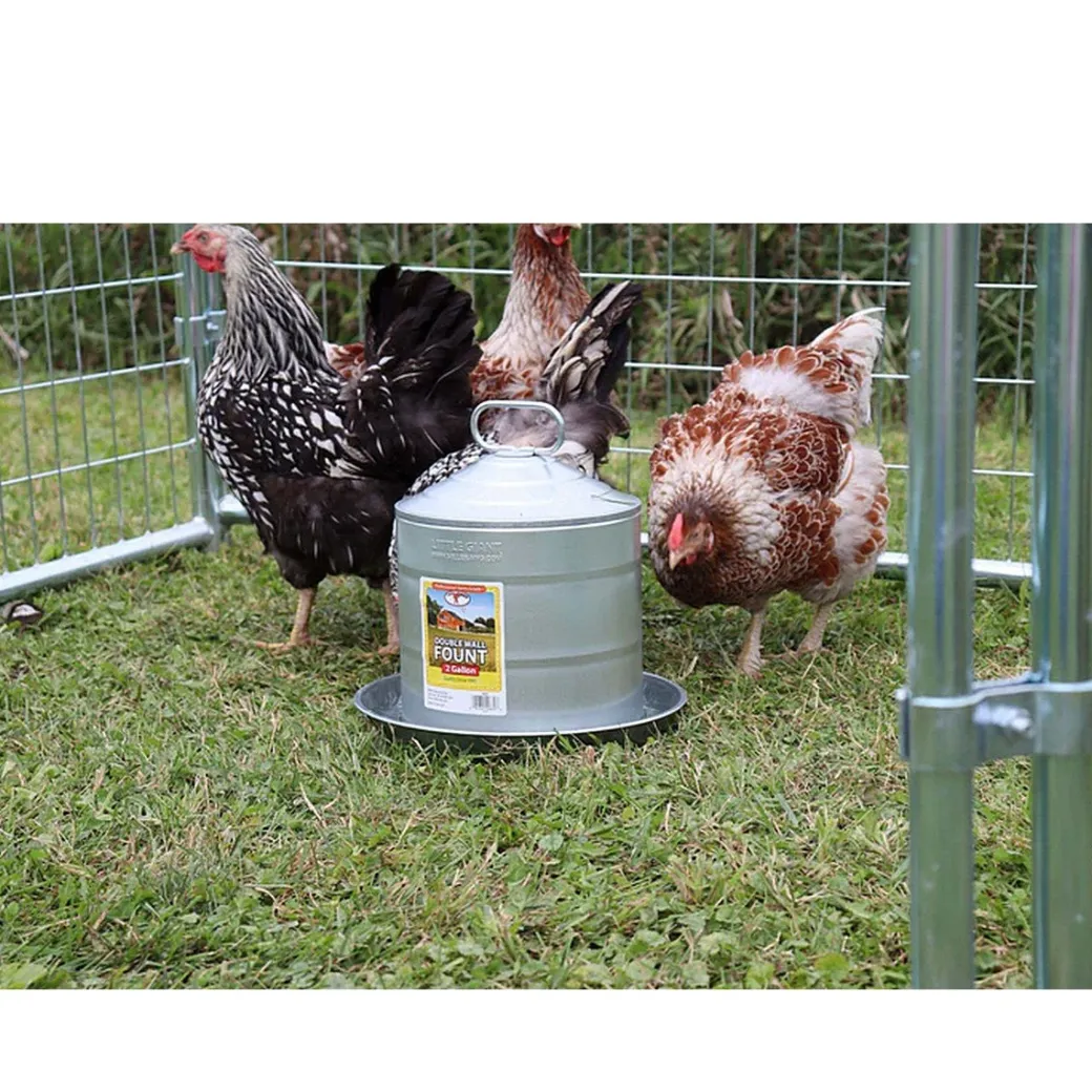 Little Giant Double Wall Galvanized Poultry Fount