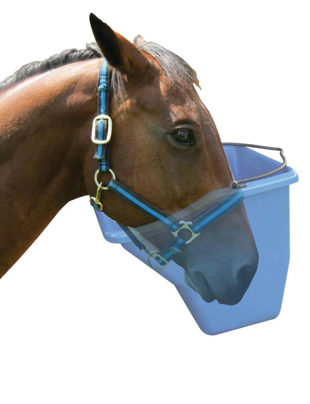 Little Giant 20 Quart Better Bucket