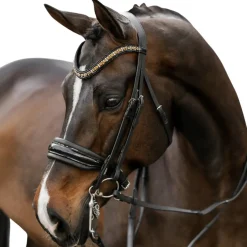 Lumiere Ariana Double Bridle