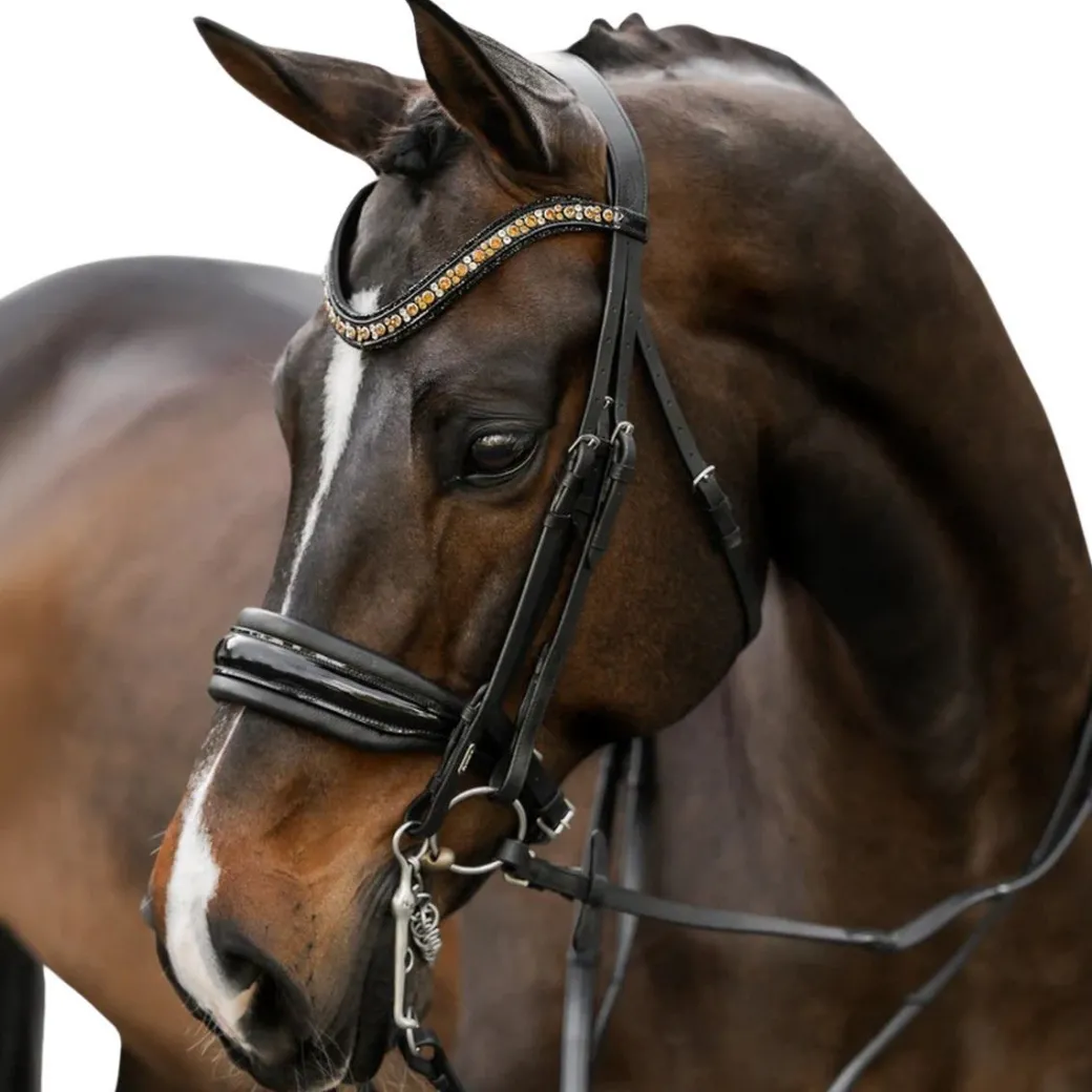 Lumiere Ariana Double Bridle