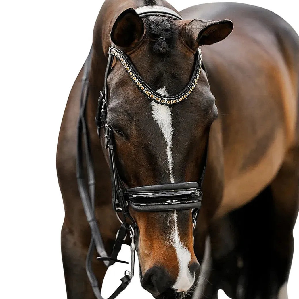 Lumiere Ariana Double Bridle
