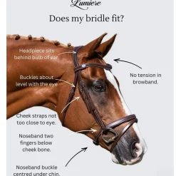 Lumiere Ariana Double Bridle