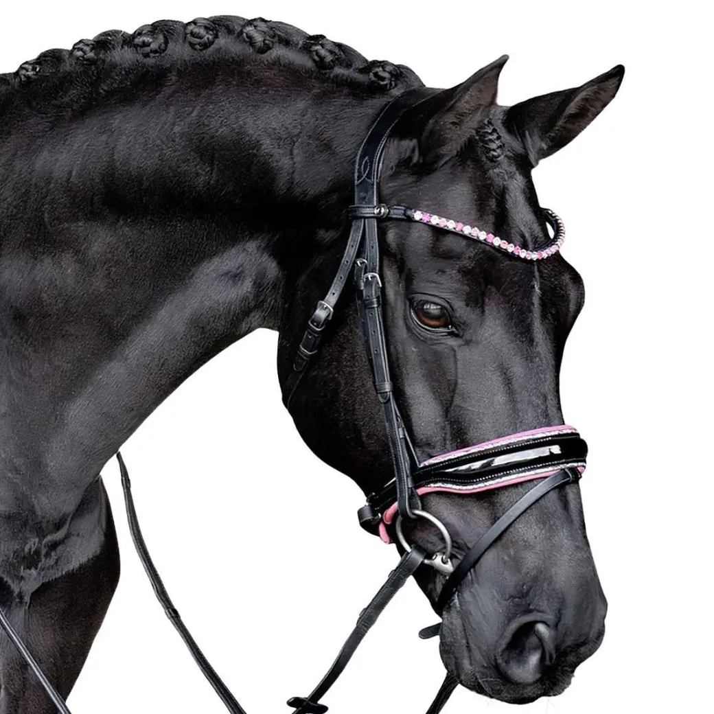 Lumiere Paloma Bridle