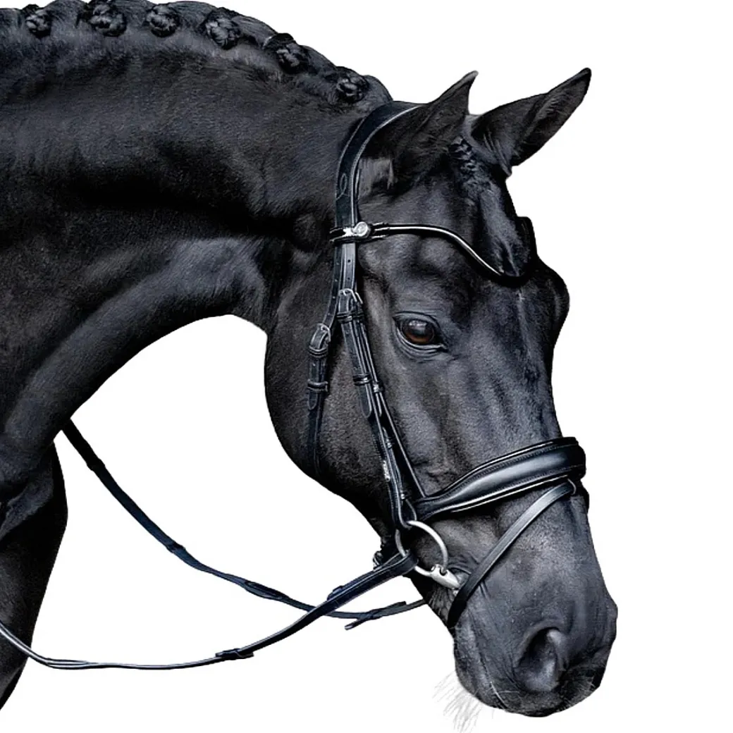 Lumiere Penny Bridle