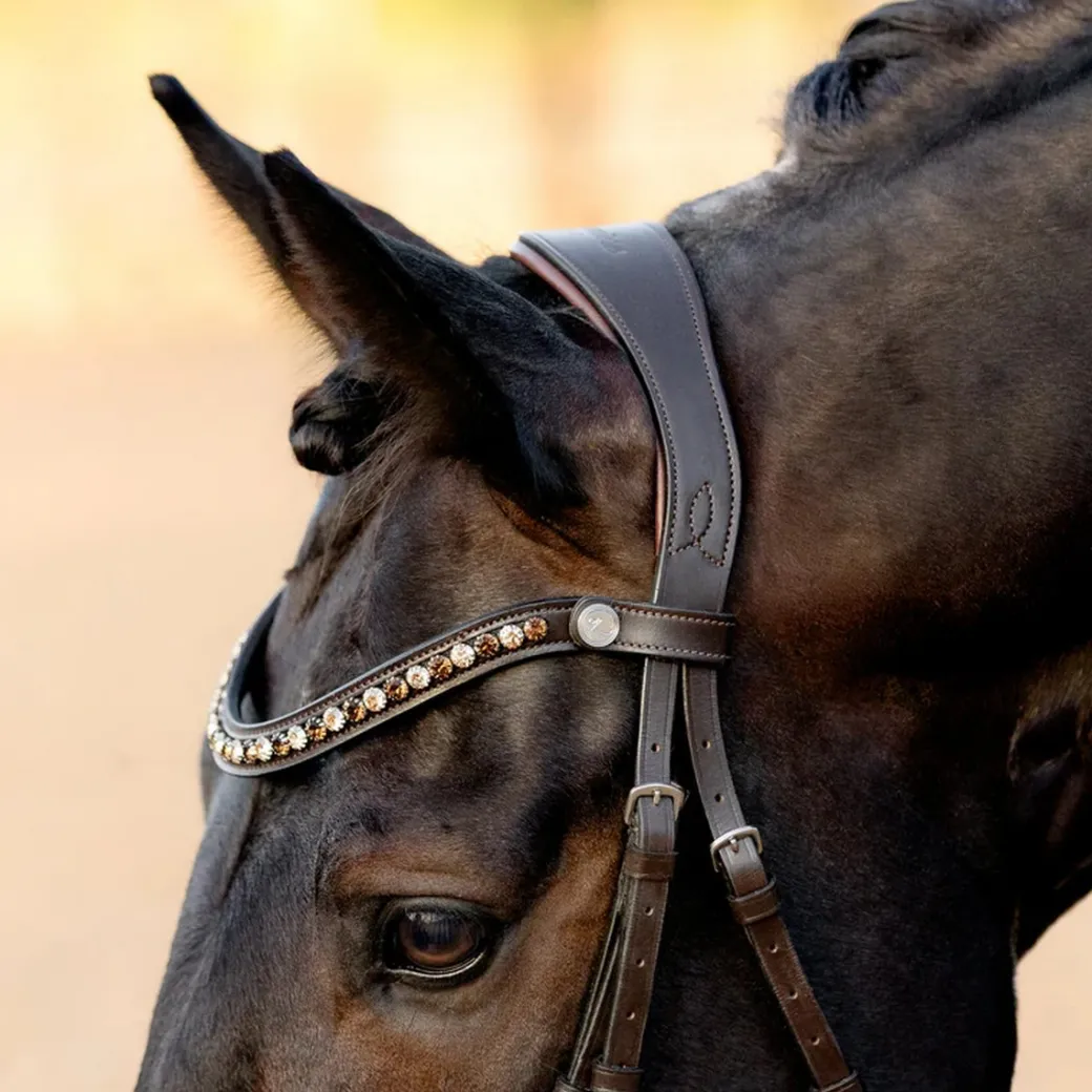 Lumiere Pippa Bridle
